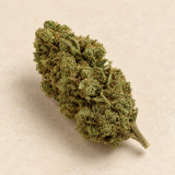Cali Grape — détail visuel, catégorie Fleurs CBD