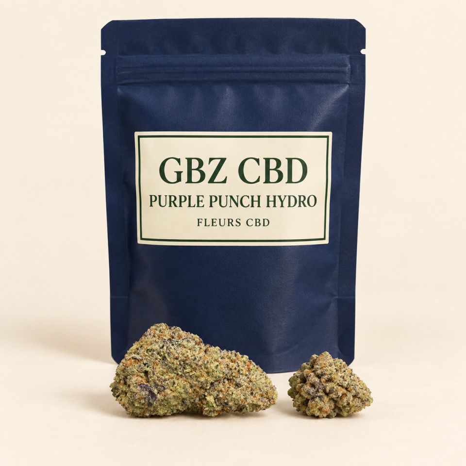 Purple Punch Hydro — packshot GBZ CBD, catégorie Fleurs CBD