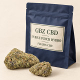 Conditionnement Purple Punch Hydro — vue trois quarts