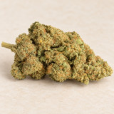 Girl Scout Cookies — détail visuel, catégorie Fleurs CBD