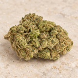 Bubble Gum — détail visuel, catégorie Fleurs CBD